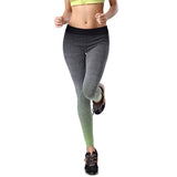 CHLEISURE S-XL 4 Colors Women's Fitness Leggings - ladies Shapewear 